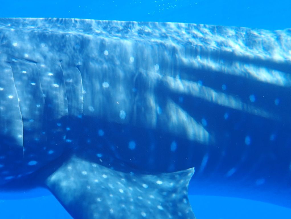 544b0a62-f63c-44cb-b1a5-c4f9e1888562