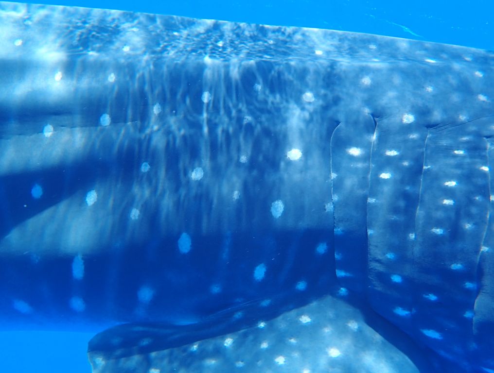 544b0a62-f63c-44cb-b1a5-c4f9e1888562