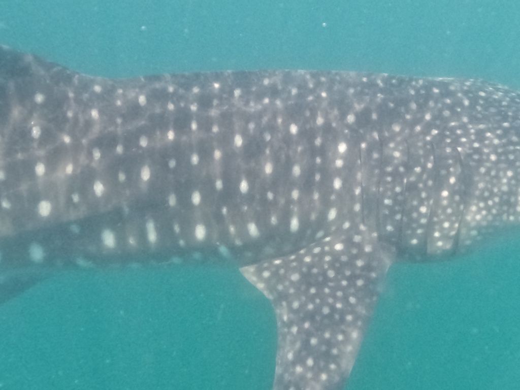 3e34d02a-2c45-4301-984b-29c1ecaf7bdc