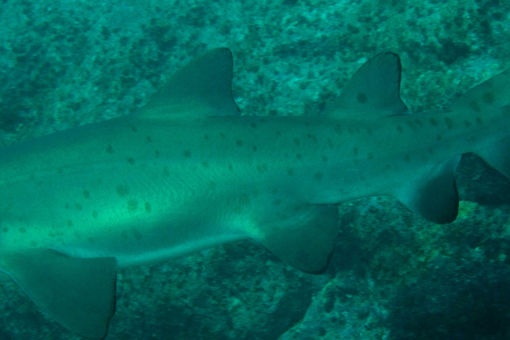 10db5fc9-dd82-4fcf-9ec1-5704e1ed57ce