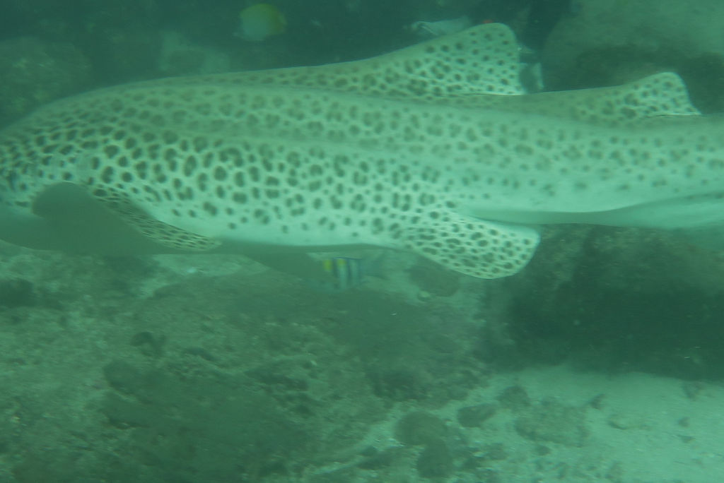 b59a32f6-1091-4849-b0c2-c59a1a420614