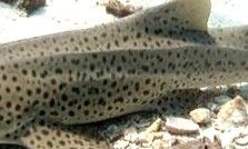 9e82749a-543e-4b82-a697-c30670de1090