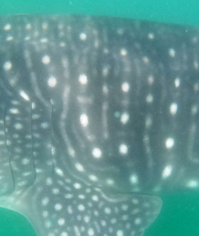 c162f29a-39cb-4ad1-a45e-6c7e630e644b