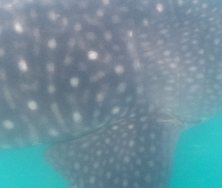 e909c2dd-12e2-4b5d-88f7-9e693dc25fdc