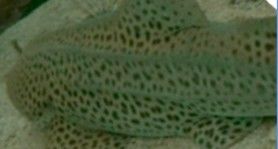 f532d730-1589-4559-a3cc-5df32edae7a6