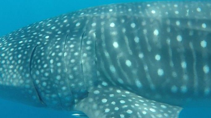 8426ba06-c7ac-441f-88c1-e220bf17082d