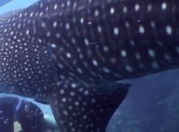 a05406e5-298e-481e-ac9e-9959f3f8ea05