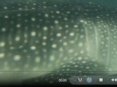 1dddcc69-aef3-4c58-a012-dab308fb817c