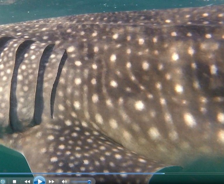 1dddcc69-aef3-4c58-a012-dab308fb817c