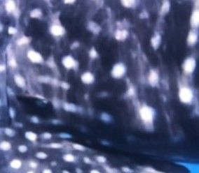 92beb91f-2539-454f-9b71-c65b6f16cc03