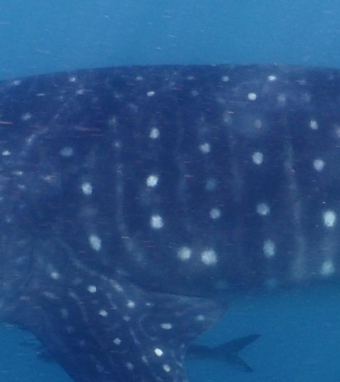 5b8e9b73-dcb9-409f-bcb2-6aeeb4a90820