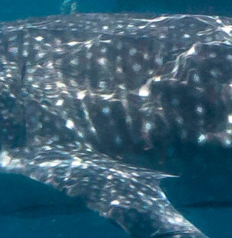 564501b2-8254-4245-ae3e-b761e9682d64