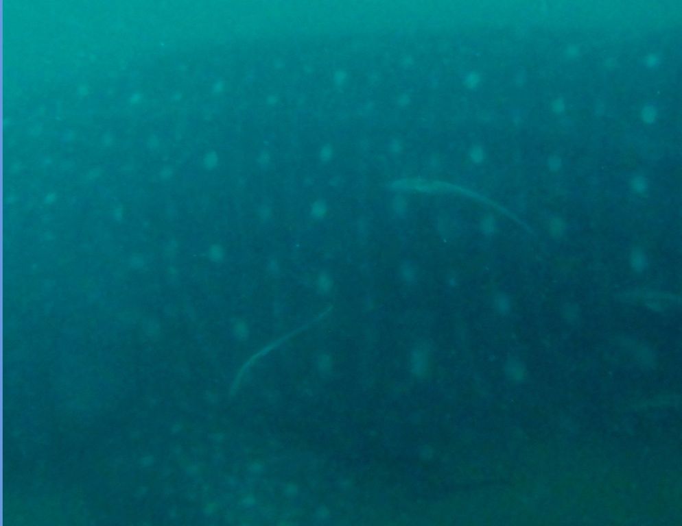 2ca3d5ca-ba19-4f20-8f32-68abc077e9ad