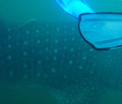 2ca3d5ca-ba19-4f20-8f32-68abc077e9ad