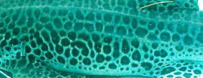 6aaf3901-bd04-4cf9-a606-86e2001a74f7