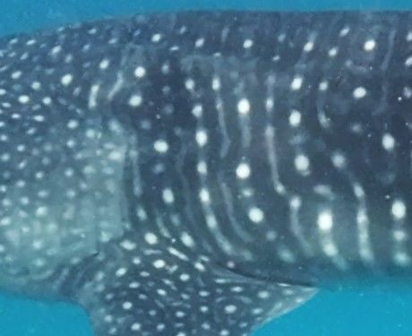 6ce186d4-2a59-4a15-8a74-d799ce73b4c3