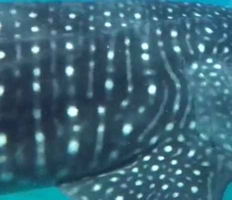 6ce186d4-2a59-4a15-8a74-d799ce73b4c3