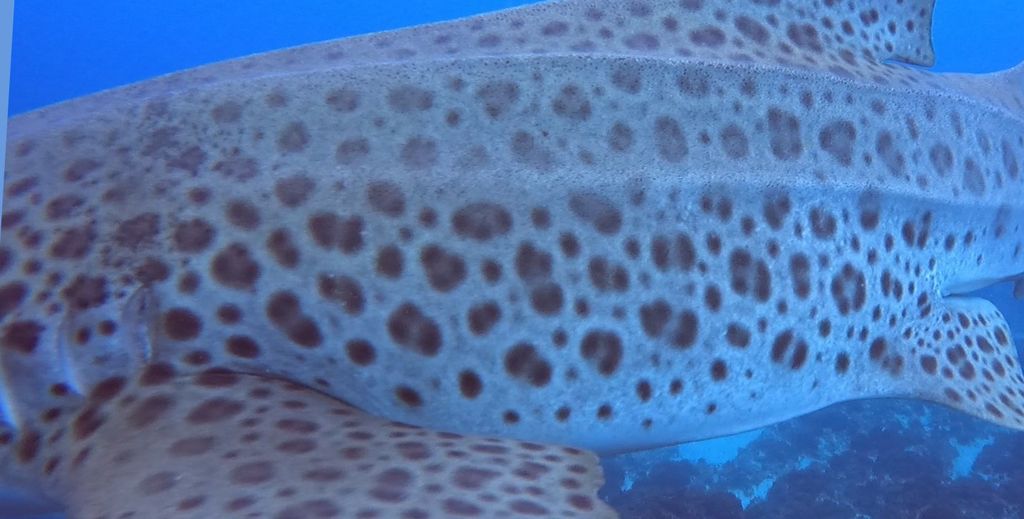 23db88a1-13d5-4fbf-ae7e-849ffbb92b82