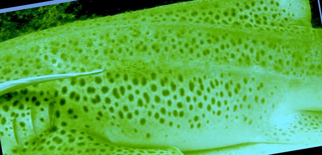 c2a1bbd1-4431-4b19-b511-0dfee1399901