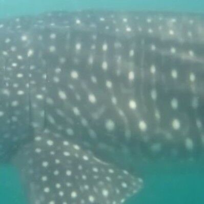 5c0c4d89-e148-4dd6-b456-fbed53b99c70