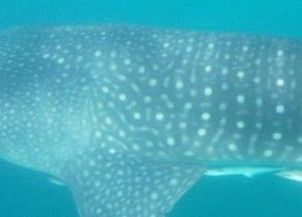 f949cdf1-8bcb-4c97-80f8-b1c1cb3956ae