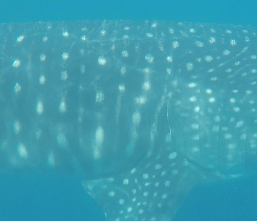 c24be13f-0c36-4304-989f-be39fad41cbc