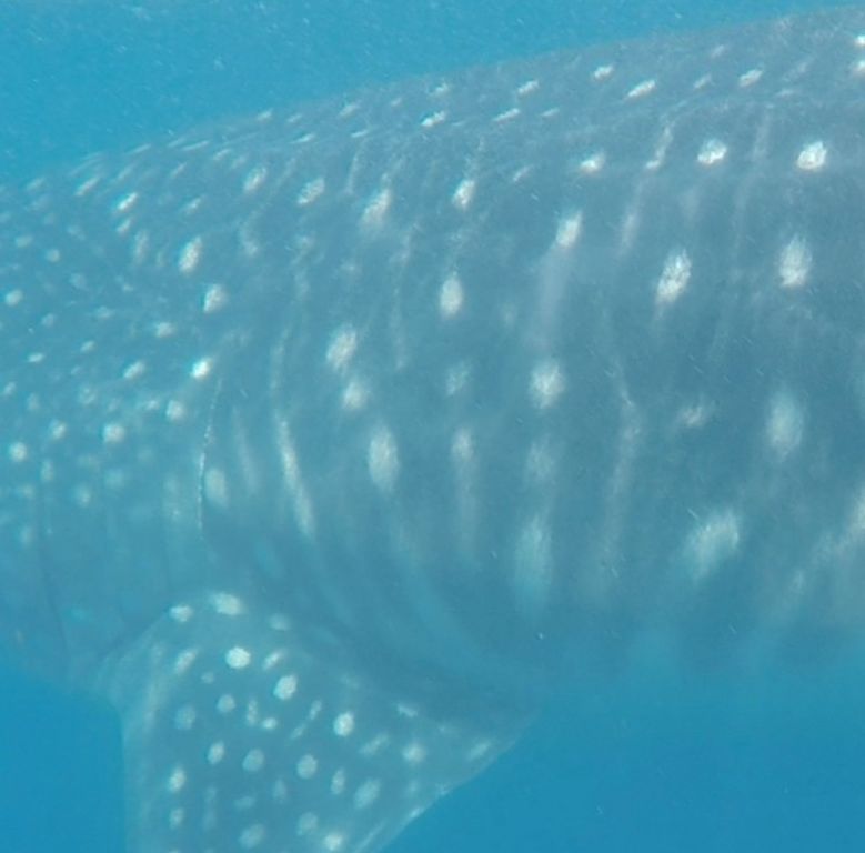 c24be13f-0c36-4304-989f-be39fad41cbc