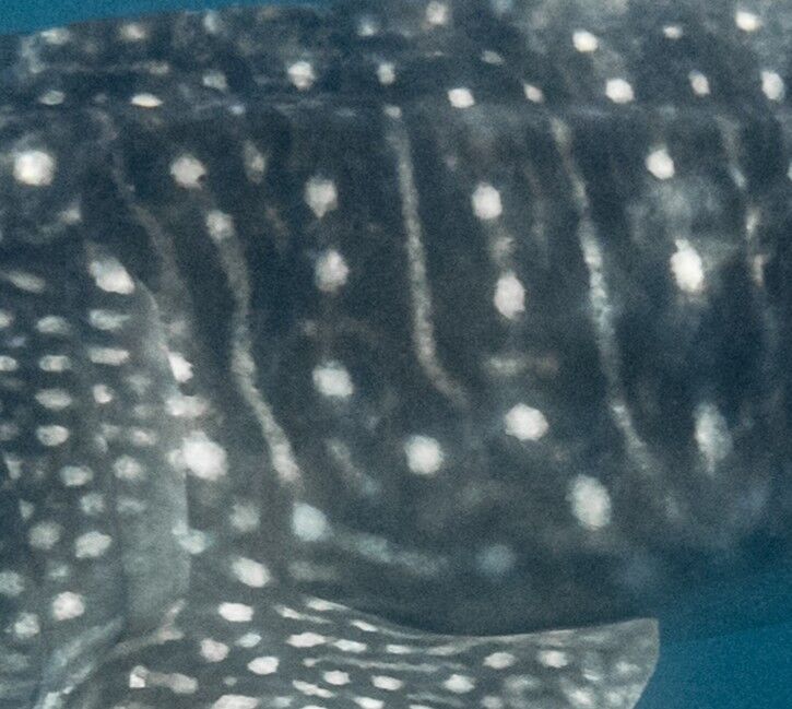 be68cd55-7d7d-41ac-9656-72de5185426b