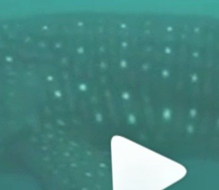 dc5b3fc6-9b8d-40e9-8150-b82a7857a467