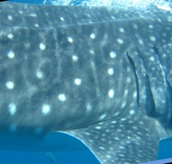 bb62c57c-3709-4236-8a89-4e2da08a8141