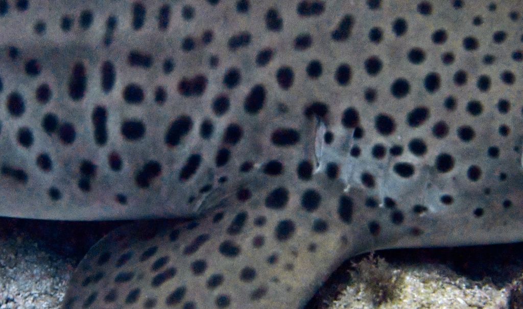 a8f4ce48-d627-4089-baa0-ada409ebddbb