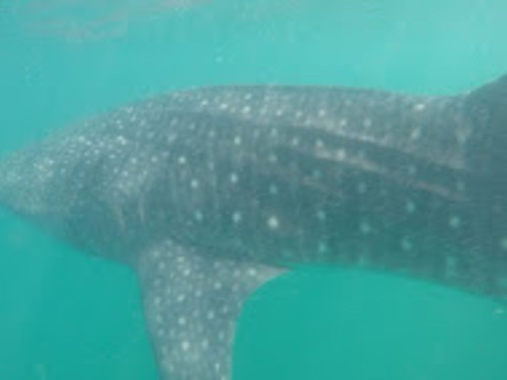 3d57bf3d-23f3-476b-a5c2-fa97f70ecb58