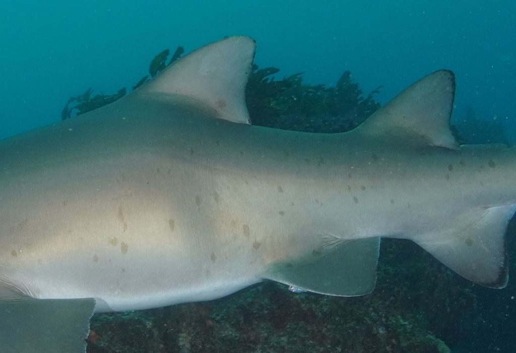 b9fe2139-26d3-4760-9414-2cb1ed89b3a6