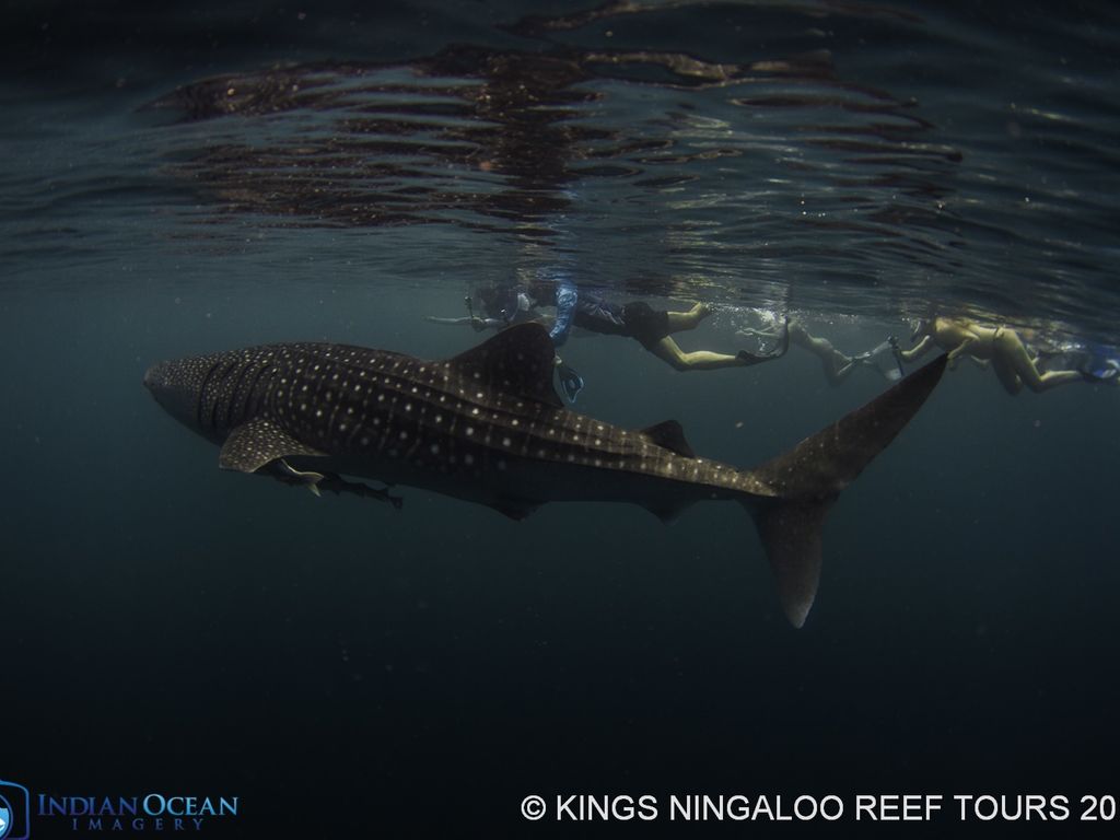 e634f77c-6c8b-49b7-9d7b-a1d9798ae9b7