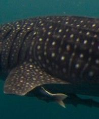 e634f77c-6c8b-49b7-9d7b-a1d9798ae9b7