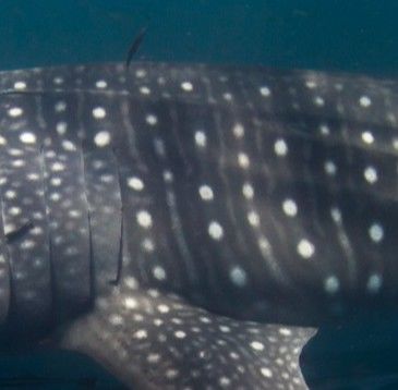 f2d9bc86-fb42-4f15-8673-84895c5ec180