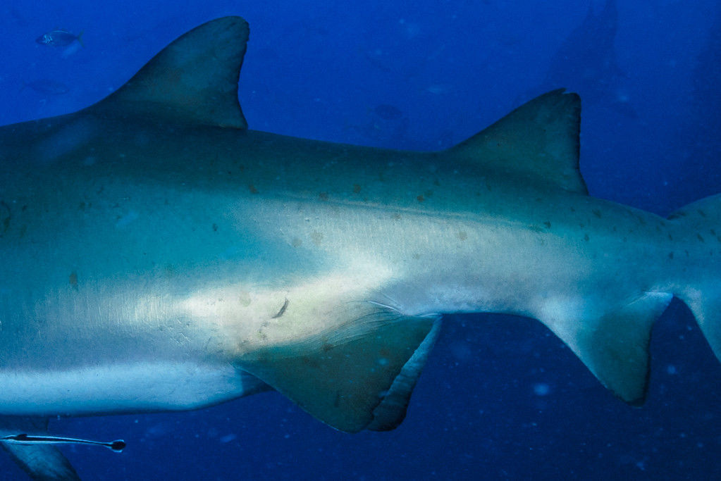 e4a31d9a-fdf7-4162-a08d-cd2f78feff9d