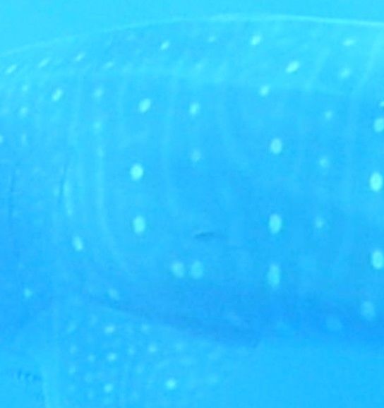 0db63ed9-61fa-4dbd-a206-323e1c778301