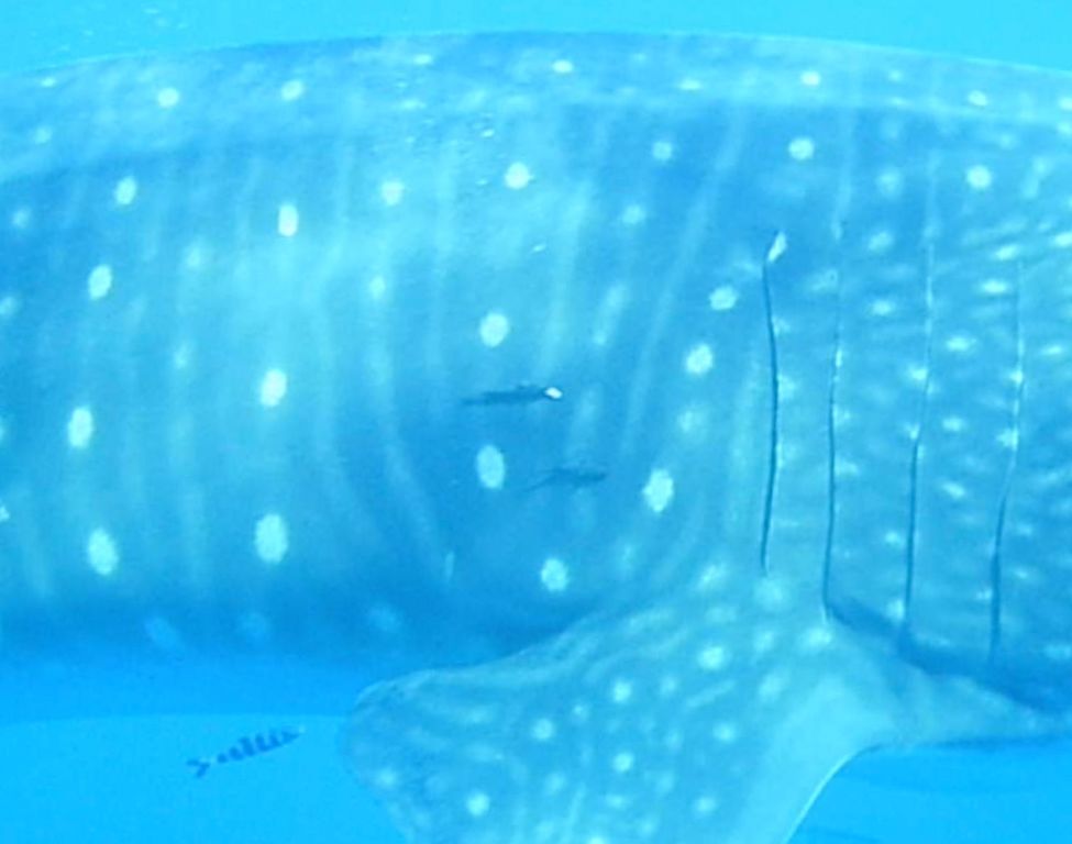 0db63ed9-61fa-4dbd-a206-323e1c778301