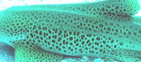 8245a83d-c0c2-4ec7-b12c-a452e6b5bd6c