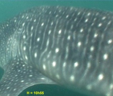 0ec20442-a86d-4c1d-bc6a-1919b479df15