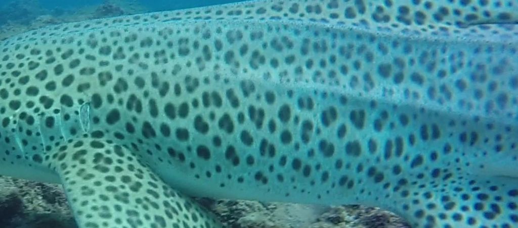 68b485ac-80be-4b72-ade5-7af7598294d1