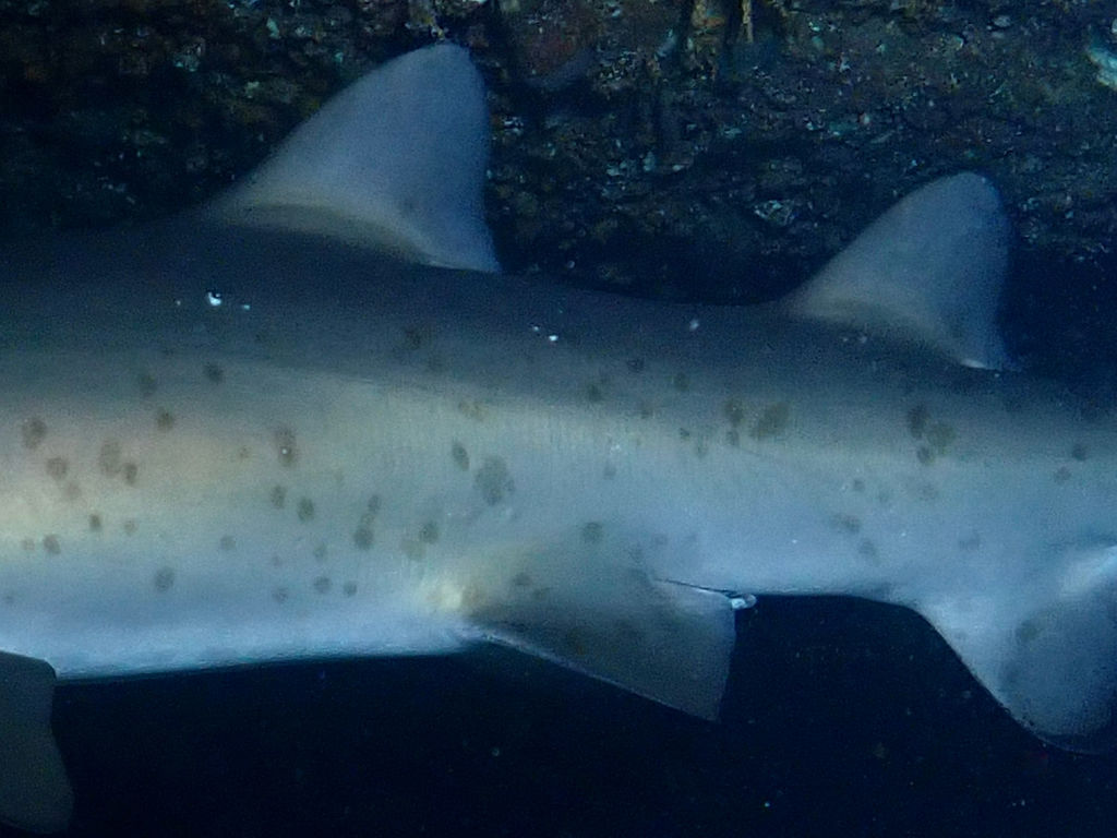 00f35fac-858f-4621-9f60-14c90b62ec8e