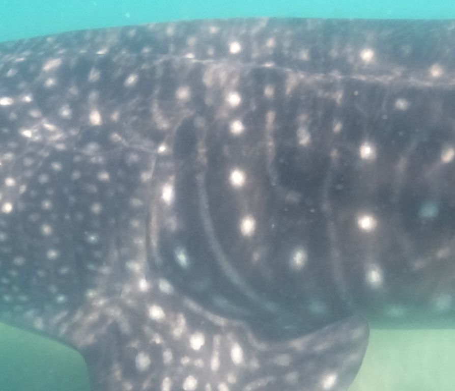 27416857-a44e-49c5-8bda-3fa29b8d3a95