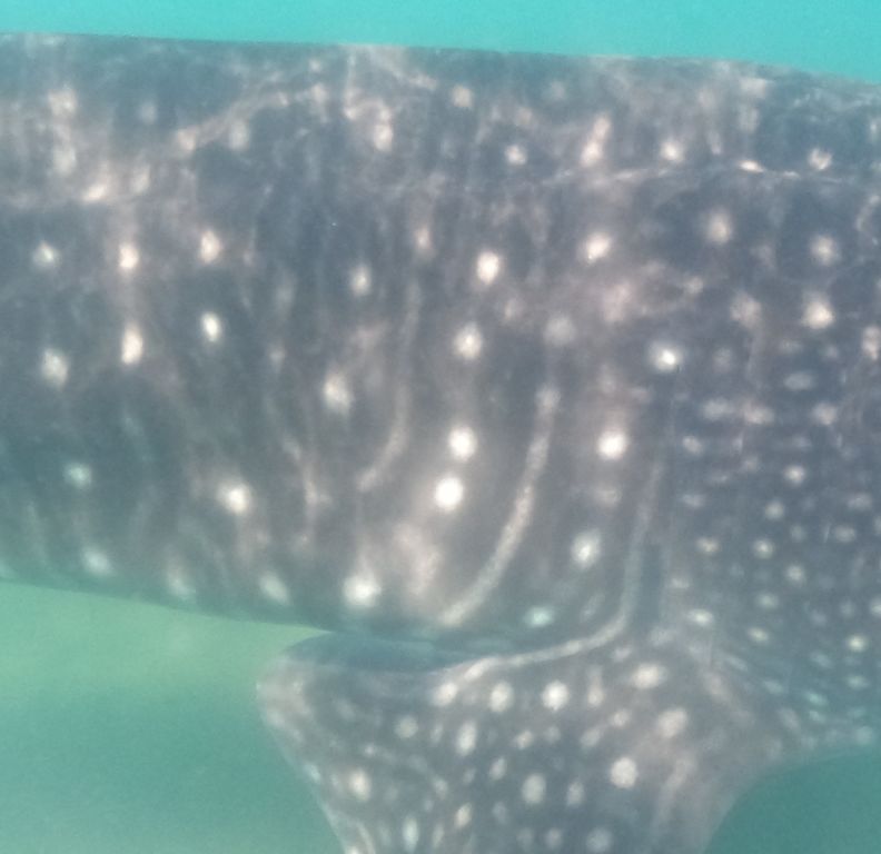 27416857-a44e-49c5-8bda-3fa29b8d3a95