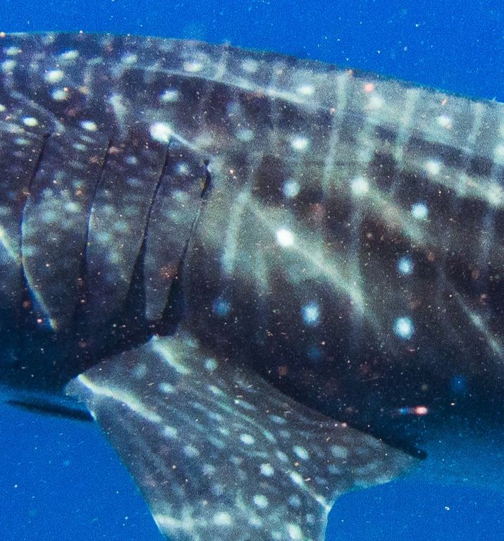 727240aa-36f0-4402-8370-db97d77981fb