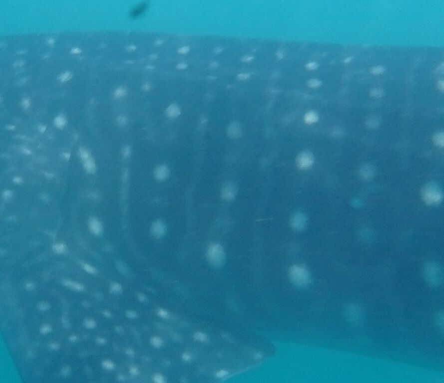 bea6d8d1-4672-4bda-a338-8d129b782a37