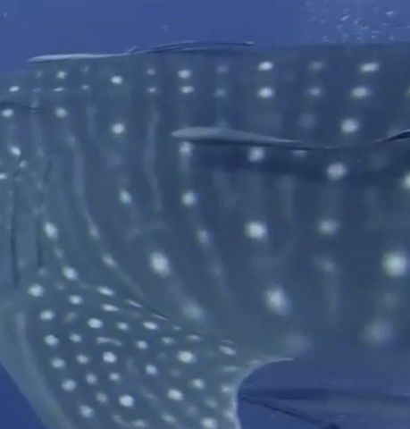 5fb991dd-1725-4e3e-904f-092a42ae02e9