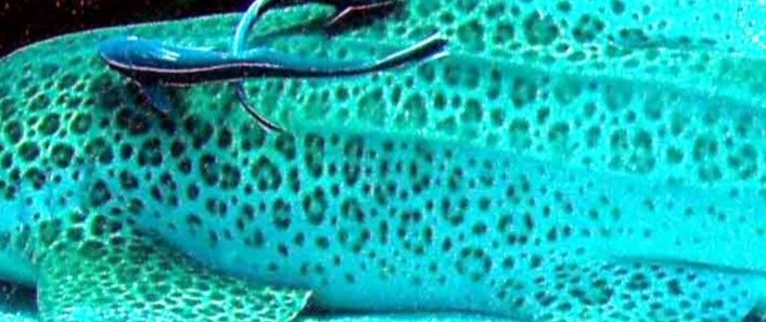 89451067-42b8-45b7-9dec-7cf1cf6407df