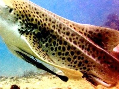 7d8a3bd2-49ec-45a5-8cb1-6fa2d4c559b3